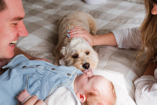 Newborn Lifestyle Session - Auckland - At Home