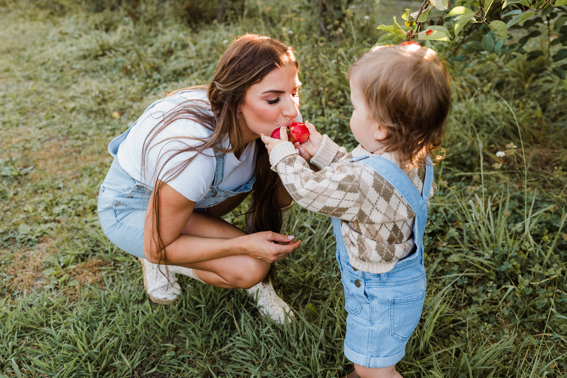 Natural light candid of a child exploring the orchard during a seasonal Auckland family session.