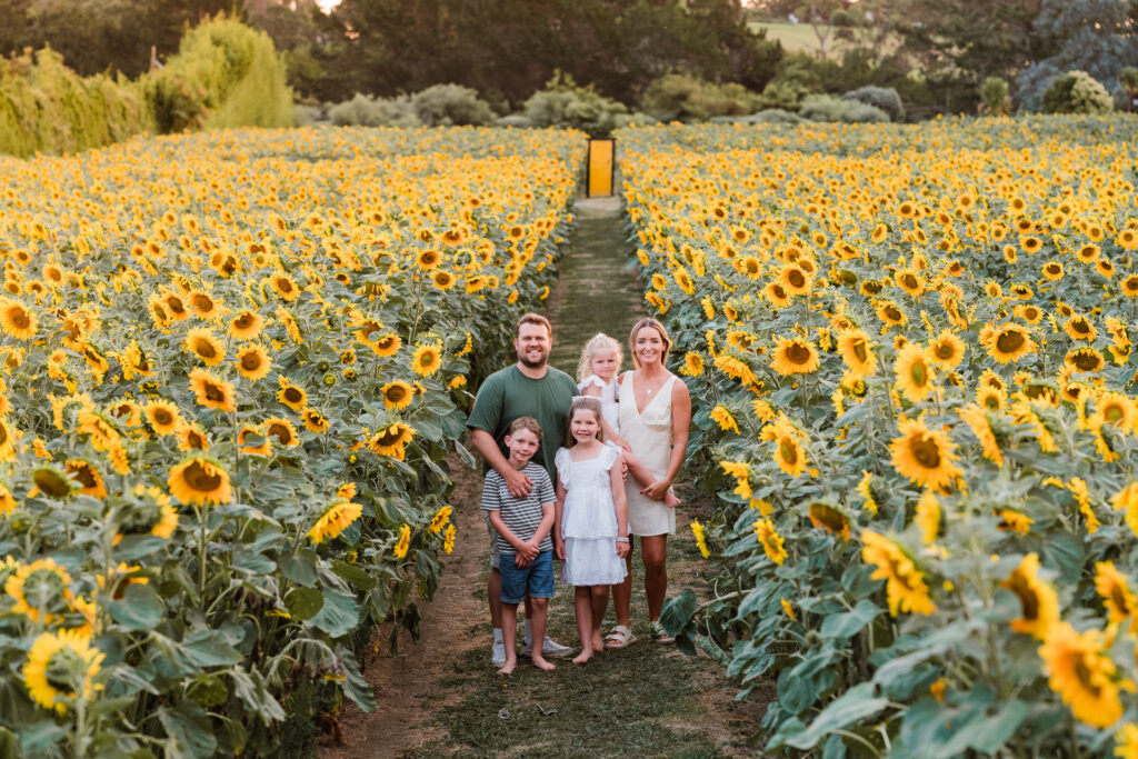 Group family photo captured among blooming sunflowers in West Auckland, part of a sunflower mini session.