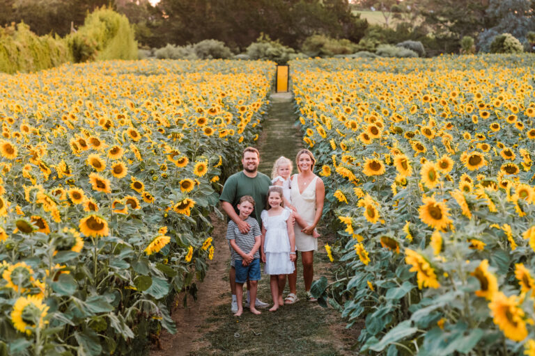 Group family photo captured among blooming sunflowers in West Auckland, part of a sunflower mini session.