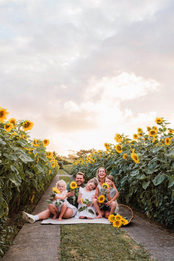 Golden hour family portrait surrounded by tall sunflowers at a seasonal Auckland mini shoot.
