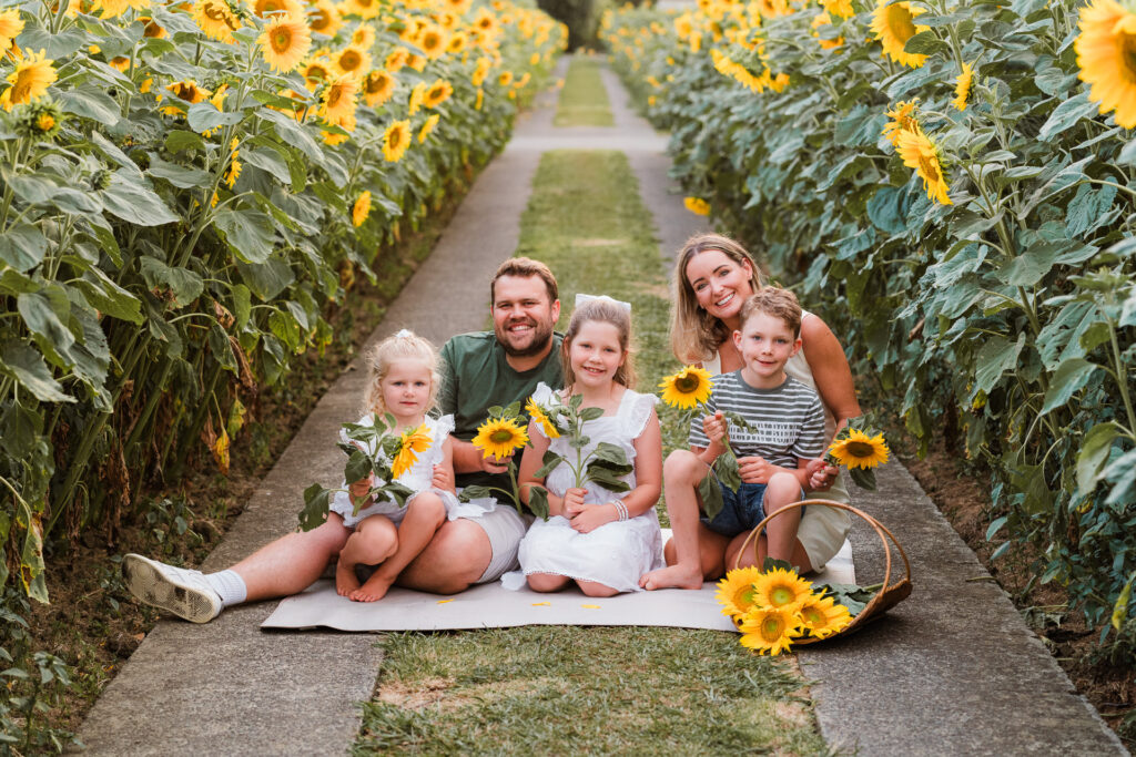 Parents and children smiling in a sunflower field during a January mini session by Wonderferris, Auckland.