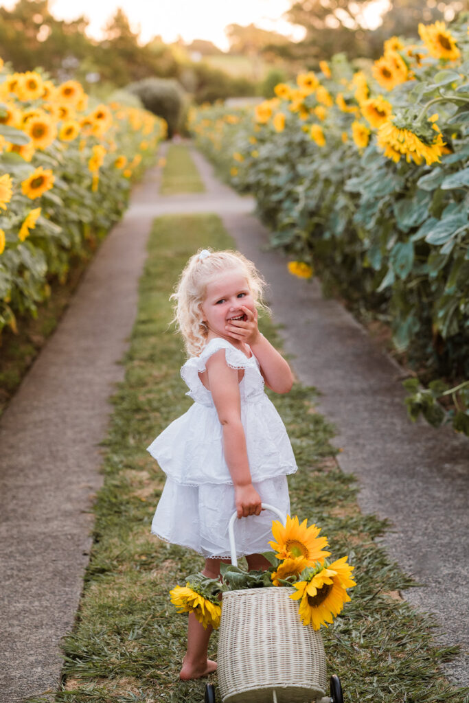 Portrait of a girl in a dress among sunflowers in Waimauku, captured by Auckland mini photographer Wonderferris.