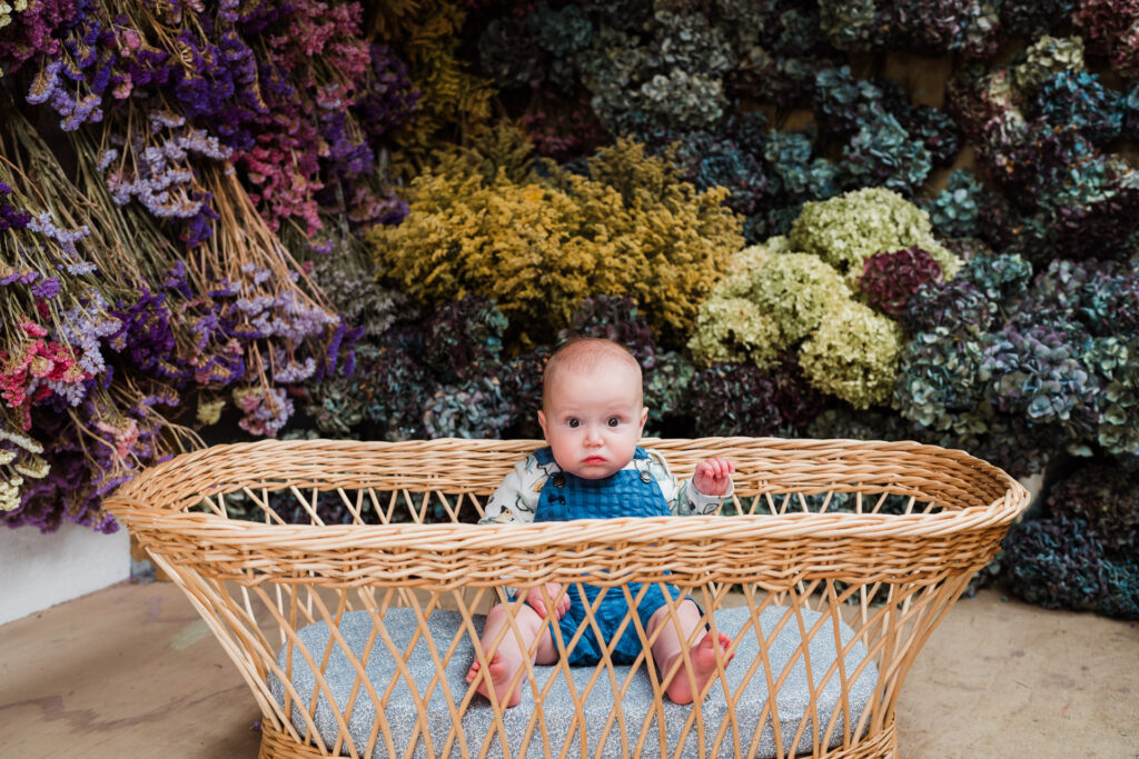 Solo portrait of baby surrounded by soft-toned dried flowers at Ella May Florals in Taupaki.