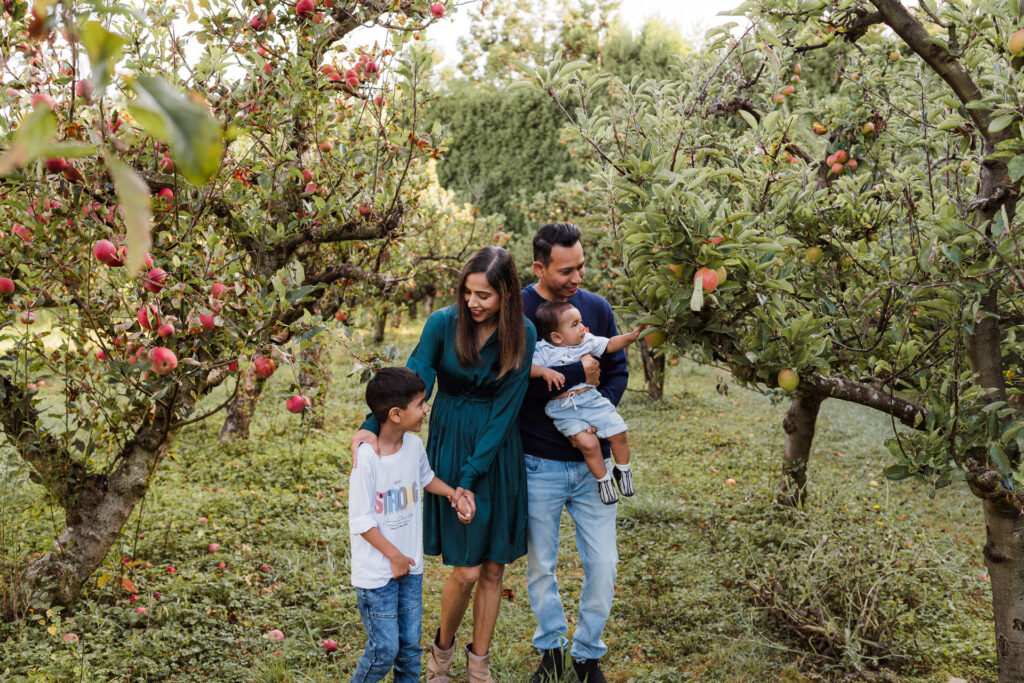 Parents walking hand-in-hand with children at orchard mini session in NorthWest Auckland.