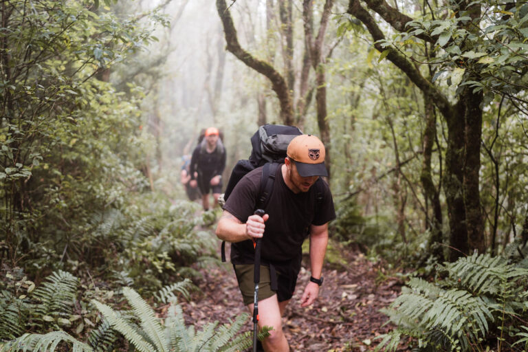 Tamping Adventure || Mountain in Pirongia